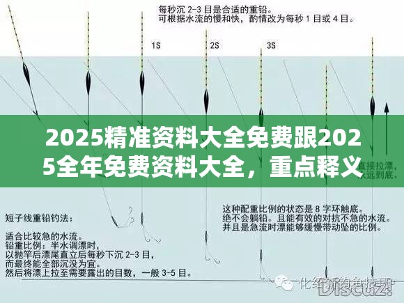2025精准资料大全免费跟2025全年免费资料大全，重点释义、解释与落实,警惕不实的钓鱼钩