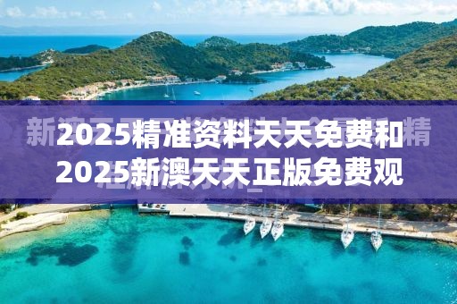 2025精准资料天天免费和2025新澳天天正版免费观看，升级分析、专家解读解释与落实,谨防华而不实包装